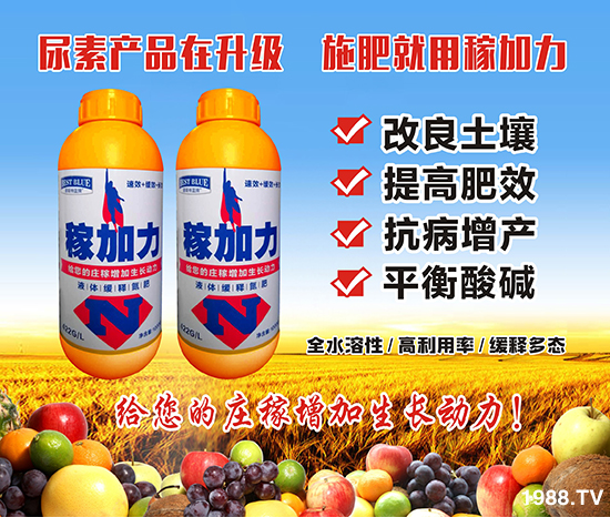 【碧斯特】祝朋友們新年快樂!萬事如意!芝麻開花節(jié)節(jié)高!