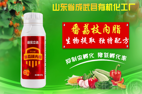 ���ЙC(j��)�����S��ף������������������µ�һ�����չ��D��