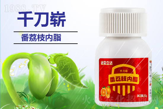 ���ЙC(j��)�����S��ף������������������µ�һ�����չ��D��