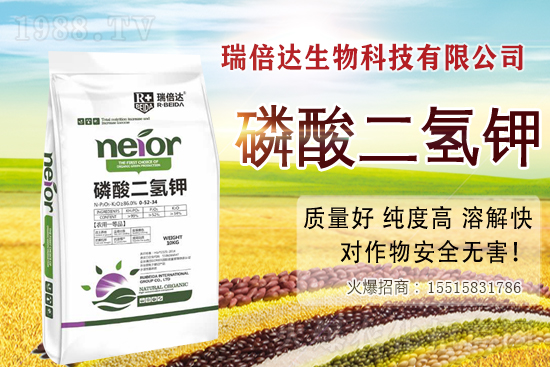 ����옷(l��)