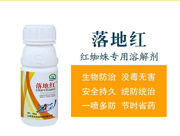 落地紅-強農(nóng)_02