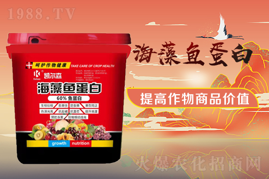 ������Ƽ�����ף���т���������������µ�һ�����չ��D��