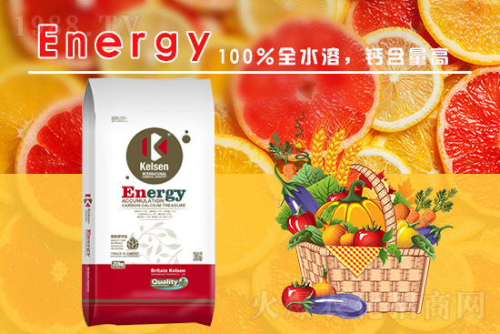 ������Ƽ�����ף���т���������������µ�һ�����չ��D��