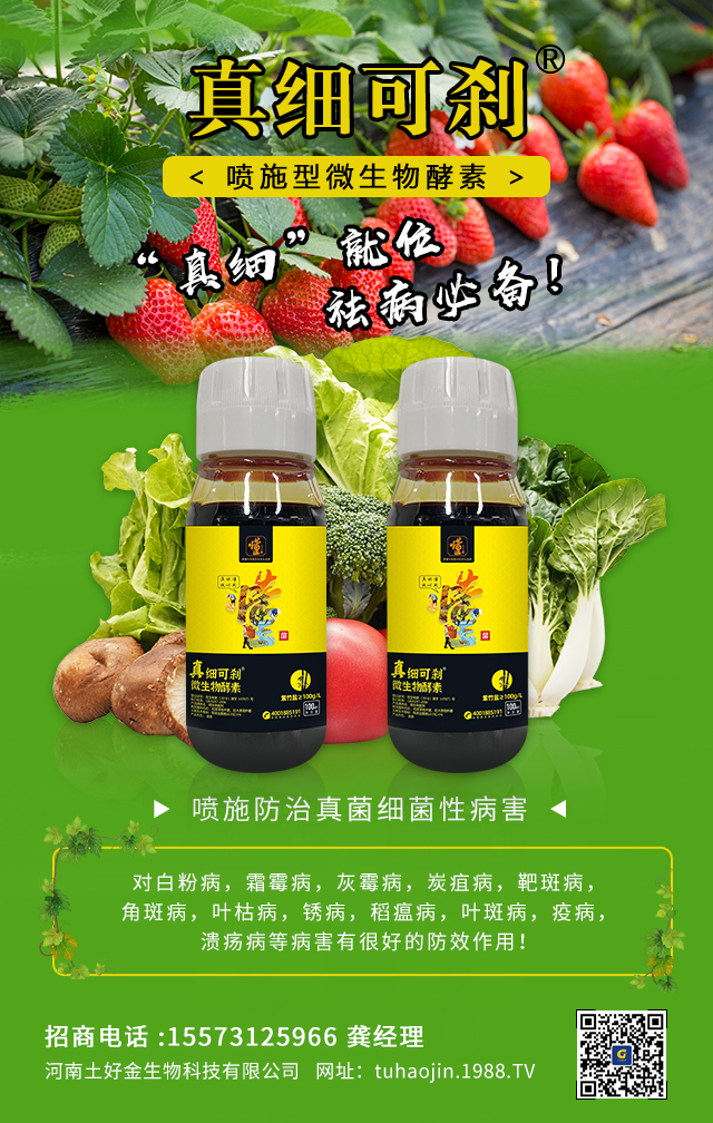 ���������ý�ףȫ���r(n��ng)�Y��(j��ng)�N�����т�2022����옷�������d¡���f��������