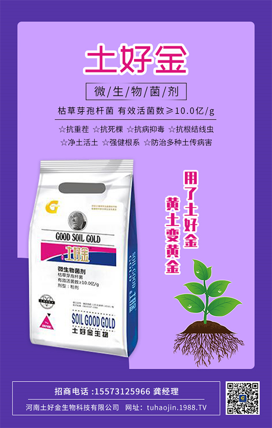 ���������ý�ףȫ���r(n��ng)�Y��(j��ng)�N�����т�2022����옷�������d¡���f�����⣡