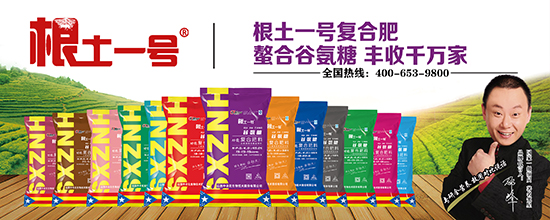 谷氨糖復(fù)合肥料