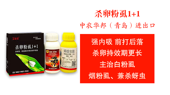 中農(nóng)華邦（青島）進出口有限公司3_03