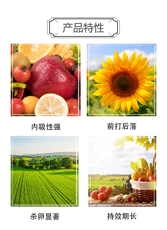 中農(nóng)華邦（青島）進出口有限公司3_04