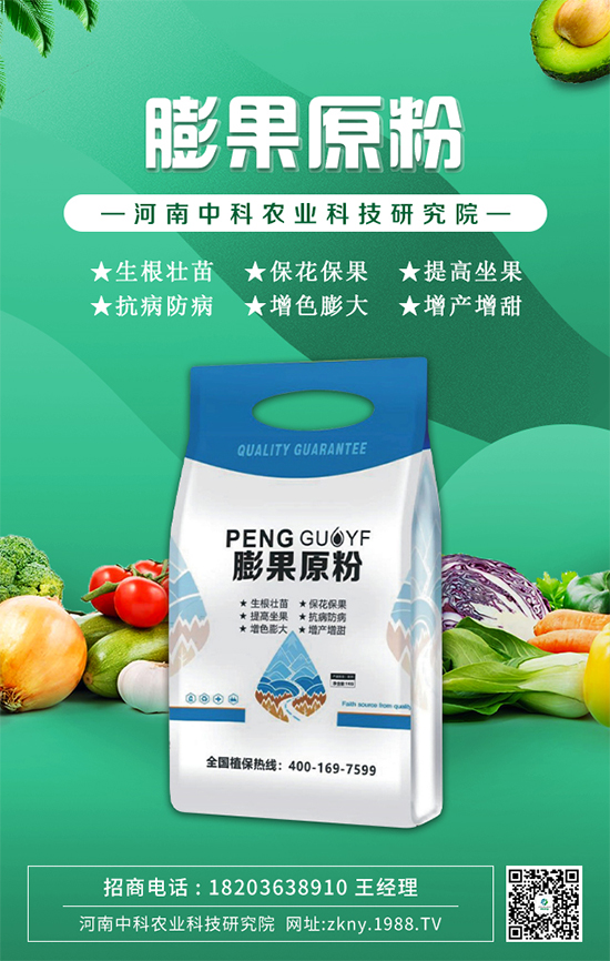     ���п��r(n��ng)�I(y��)��ף�V�����т�����(ji��)�옷��ƽ���������Ҹ�������