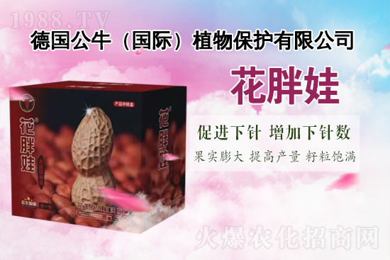   ����(gu��)��ţ��ף������µ�һ�����Ҹ����M���H�Қg��(l��)��