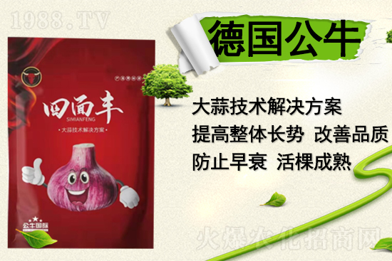   ����(gu��)������ף������µ�һ�����Ҹ����M���H�Қg��(l��)��