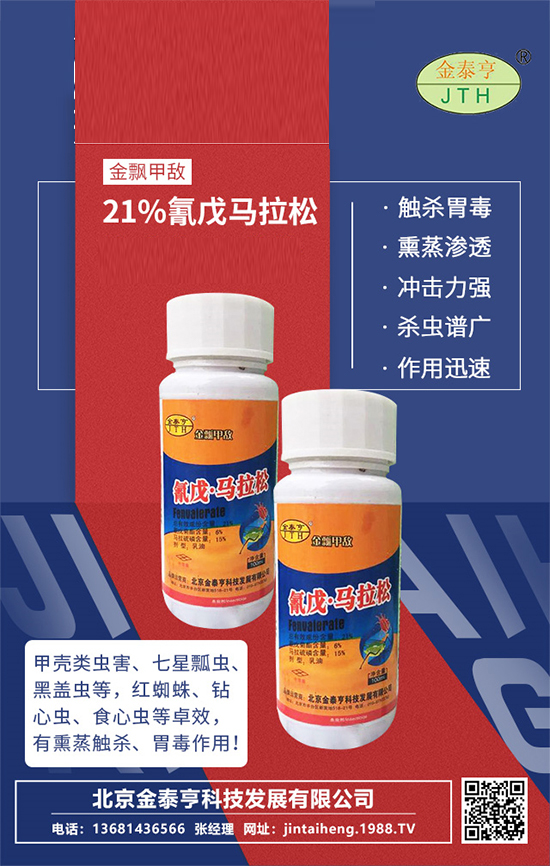 【北京金泰亨】祝廣大朋友們財(cái)運(yùn)滾滾,新年快樂(lè),虎年大吉!