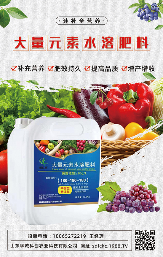 山東聊城科創(chuàng)再簽1988.TV，共謀合作促雙贏！