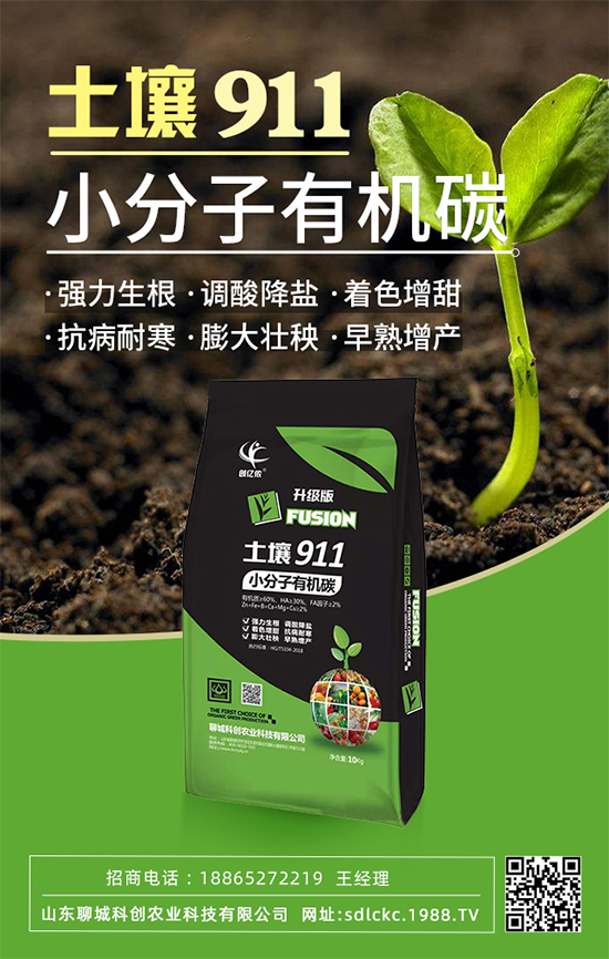 山東聊城科創(chuàng)再簽1988.TV，共謀合作促雙贏！