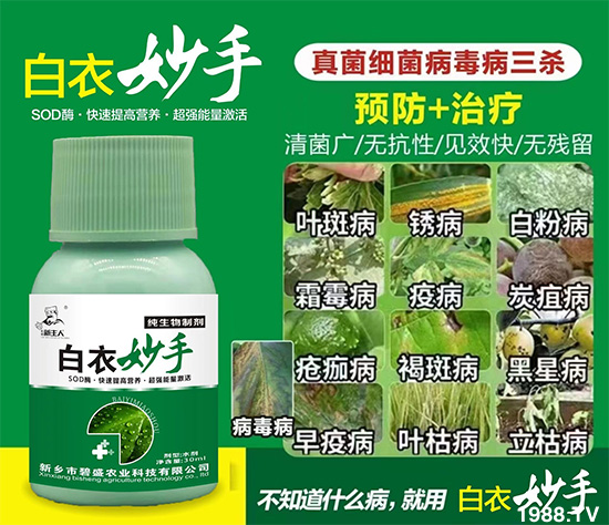 新鄉(xiāng)市碧盛農(nóng)業(yè)科技有限公司1