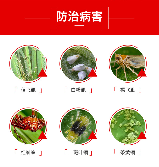 ���r(n��ng)��������-���r(n��ng)_04