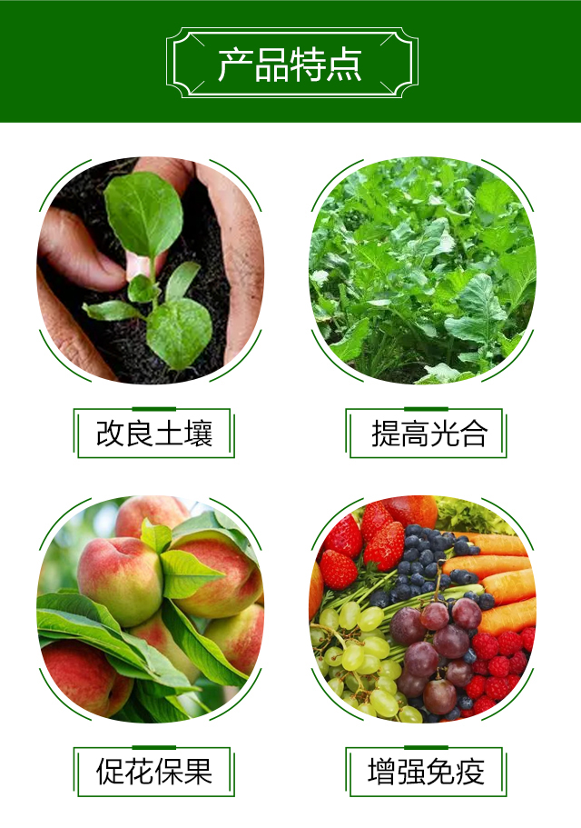 天然海藻萃取精華液-研土生物_04