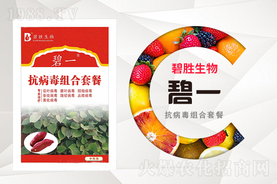 河南碧勝生物技術有限公司2