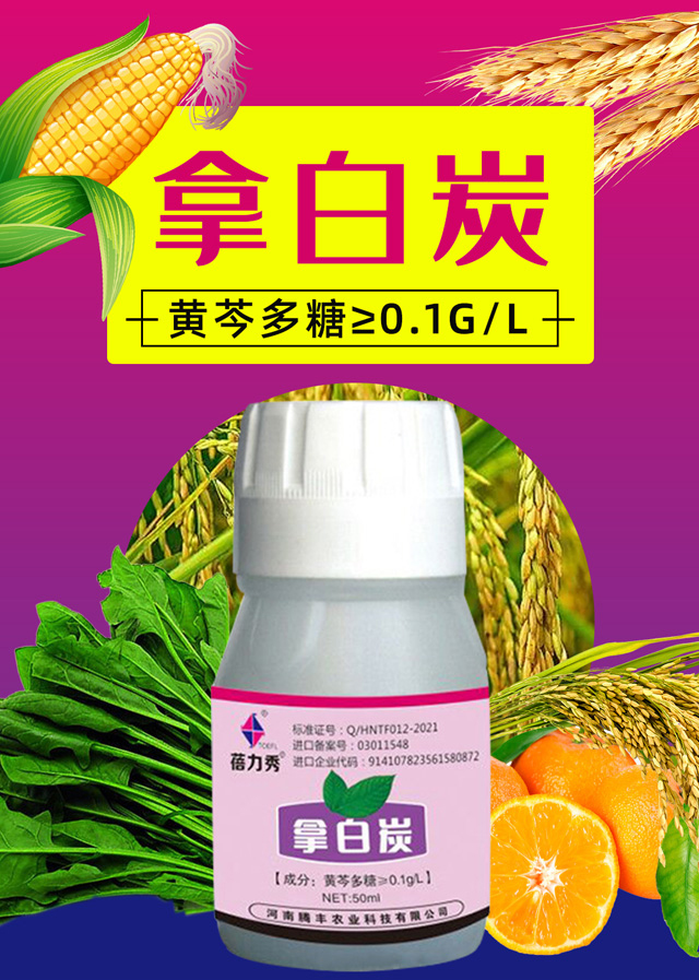 拿白炭-蓓力秀-騰豐農業(yè)_01