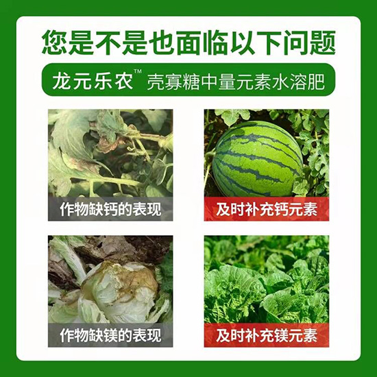 1000ml中量元素水溶肥-殼寡糖-龍元樂農(nóng)3