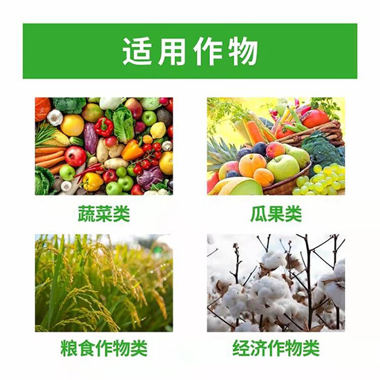 中量元素水溶肥-殼寡糖-龍?jiān)獦?lè)農(nóng)4