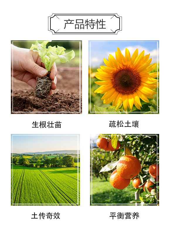 河南中科農(nóng)業(yè)科技研究院-精品根秀才_(tái)03