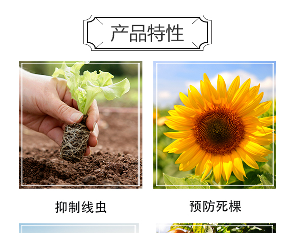 深圳市螢火蟲(chóng)化學(xué)有限公司-單打獨(dú)斗_04