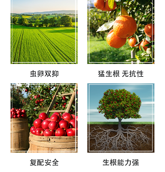 深圳市螢火蟲(chóng)化學(xué)有限公司-單打獨(dú)斗_05