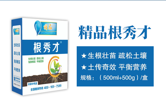 河南中科農(nóng)業(yè)科技研究院-精品根秀才_(tái)02