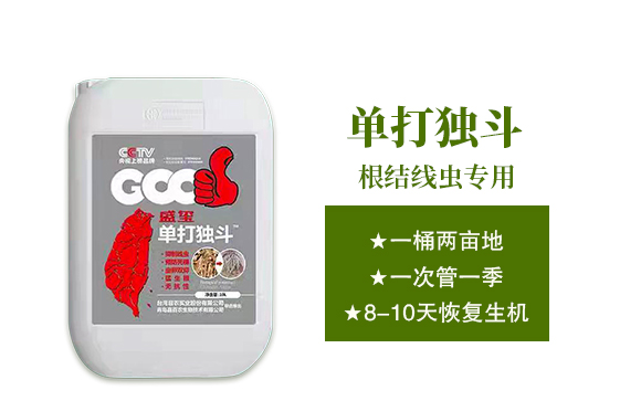 深圳市螢火蟲(chóng)化學(xué)有限公司-單打獨(dú)斗_02