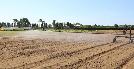 重磅!第七屆成都種業(yè)博覽會(huì)定檔11月18日