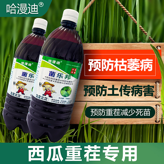 ������-������-�ο�ֲ��2