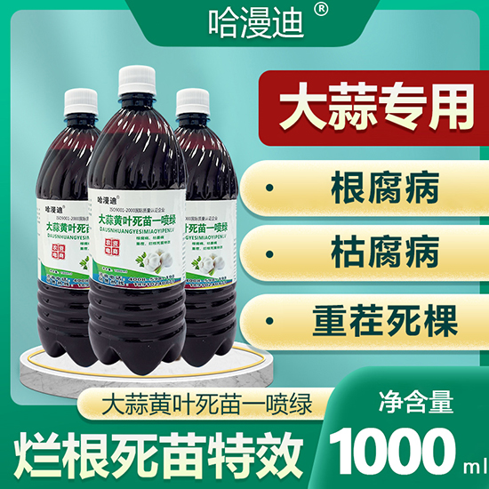 大蒜黃葉死苗一噴綠-鑫科植保2
