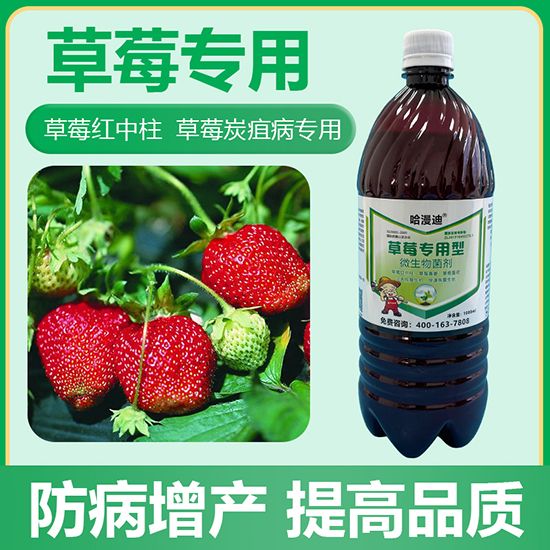 草莓專用型微生物菌劑-鑫科植保2