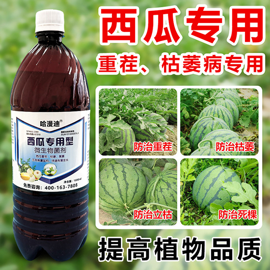 ���ό�����΢�������-�ο�ֲ��2