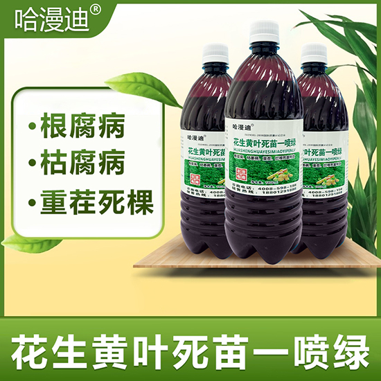 花生黃葉死苗一噴綠-鑫科植保2