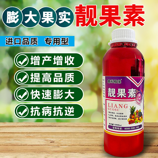 1000ml�n����-�ο�ֲ��2