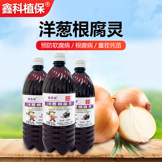 ���[�����`-������-�ο�ֲ��2