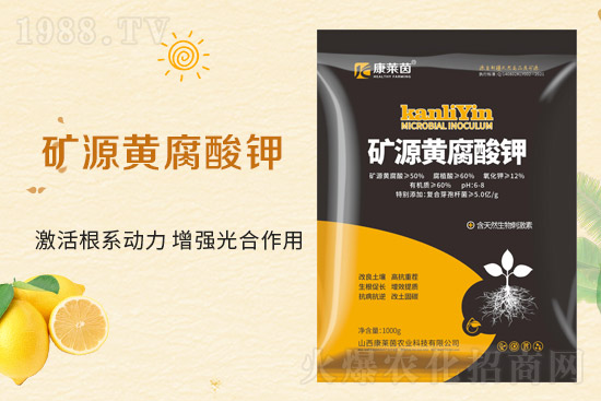 �r(n��ng)���W(w��ng)ϲӭ�����������R��ɹ����s1988.TV��