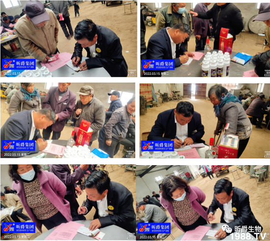 用過肥力精的小麥莖桿桿粗壯根系發(fā)達