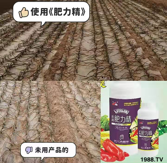 作物落花落果、座果低不用急!激發(fā)潛能,促花座果的秘訣在這!