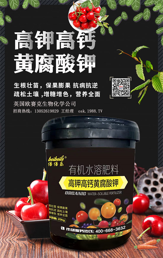 一袋黃腐酸鉀=生根＋土壤改良＋有機(jī)肥！黃腐酸鉀為何如此神奇？