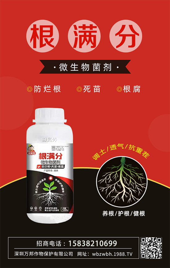 作物死苗爛根多，發(fā)育不良怎么辦！如何拯救作物根系？