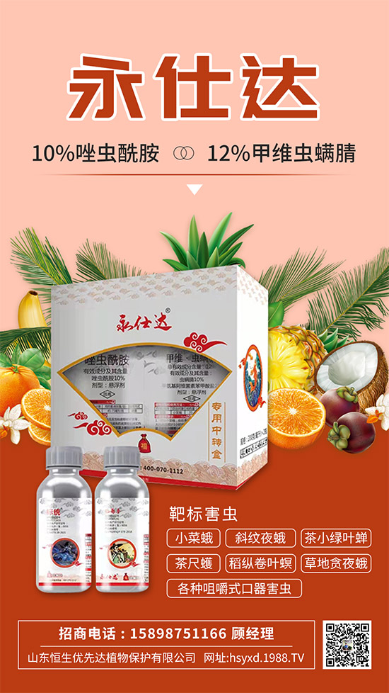 小菜蛾為何防治難？小菜蛾危害癥狀及防治措施！