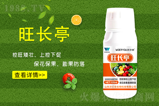 什么是黃瓜旺長？黃瓜旺長的防控措施