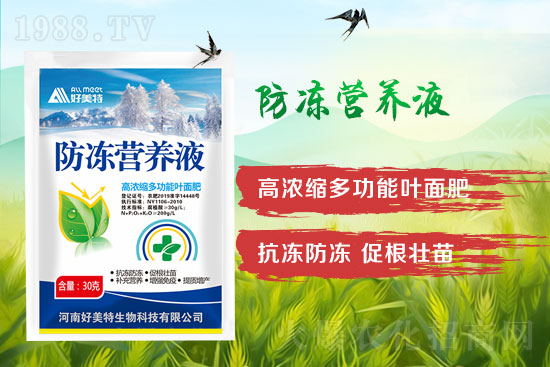 小麥倒春寒怎么預(yù)防?發(fā)生倒春寒的小麥怎么補(bǔ)救