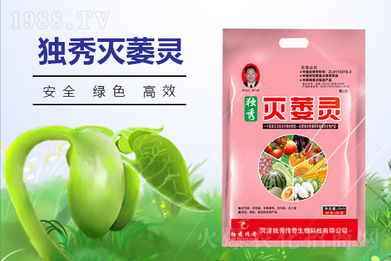 番茄發(fā)生枯萎病什么癥狀？番茄枯萎病的預(yù)防措施