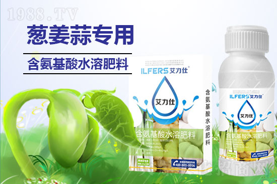 大蒜葉尖干枯如何防？解決大蒜葉尖怎么做？