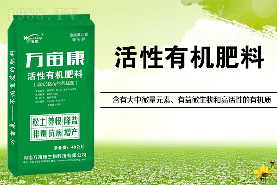 大豆高產(chǎn)施什么肥?如何施肥能增效?