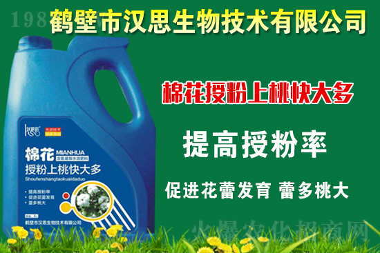 棉花種植怎么管理？棉花各生長(zhǎng)期管理要點(diǎn)